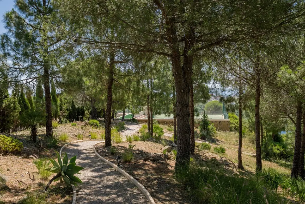 Woodland paths and mature pine trees within an El Madroñal estate